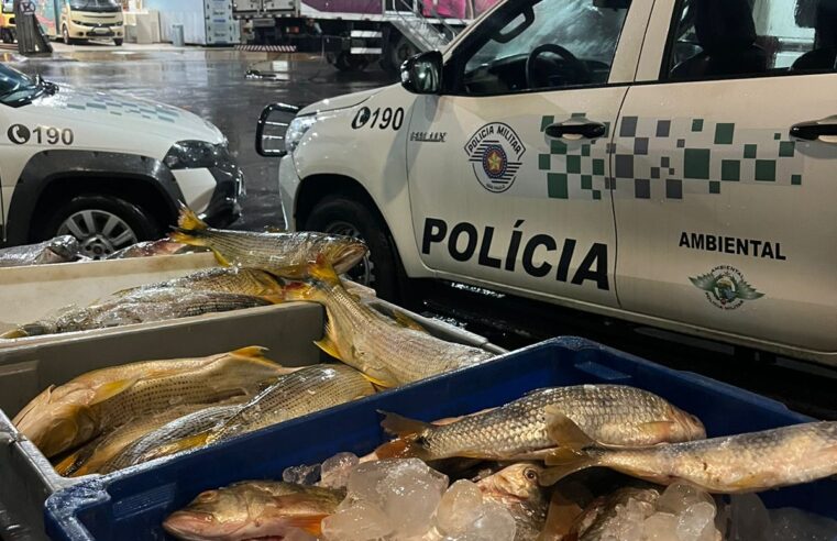 PM Ambiental apreende mais de 500 kg de peixes pescados ilegalmente em Barretos