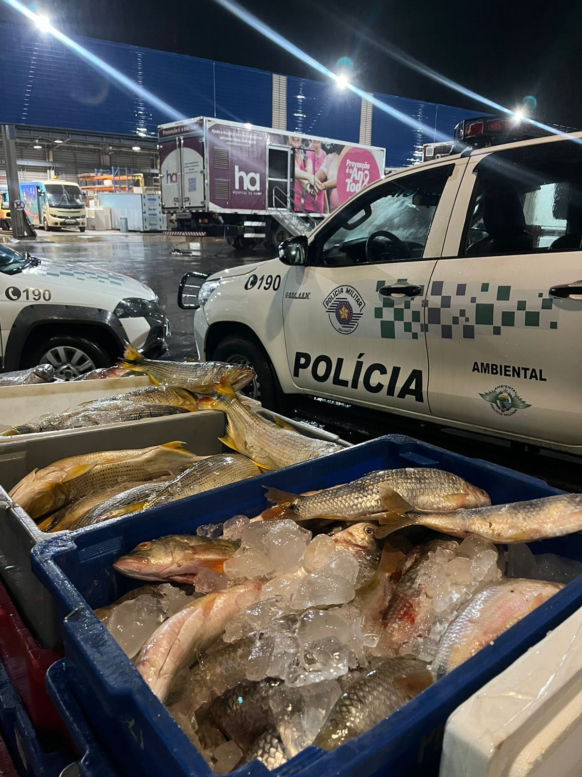 PM Ambiental apreende mais de 500 kg de peixes pescados ilegalmente em Barretos