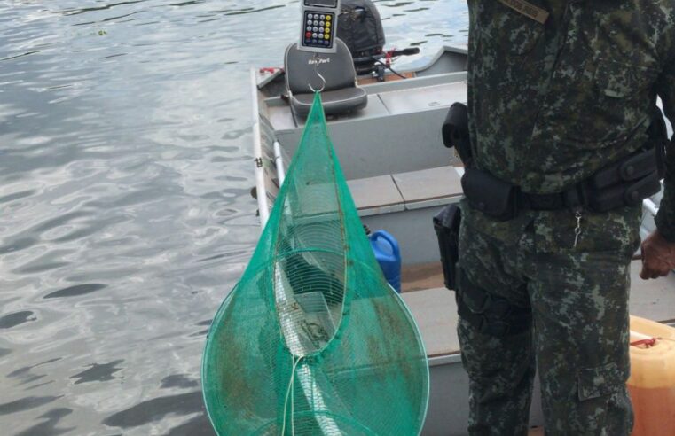 Período de pesca proibida termina nesta quarta-feira