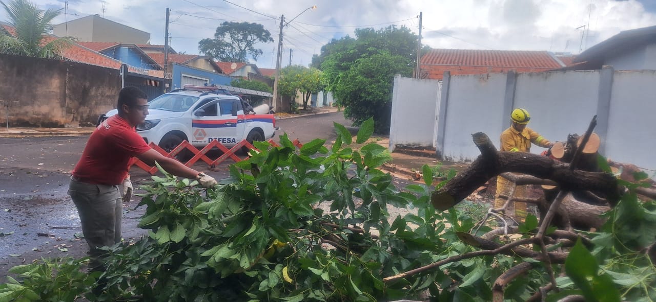 Defesa Civil atende 10 chamados de queda de árvores