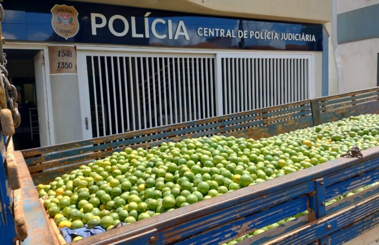 Comerciante é preso por receptação de laranjas