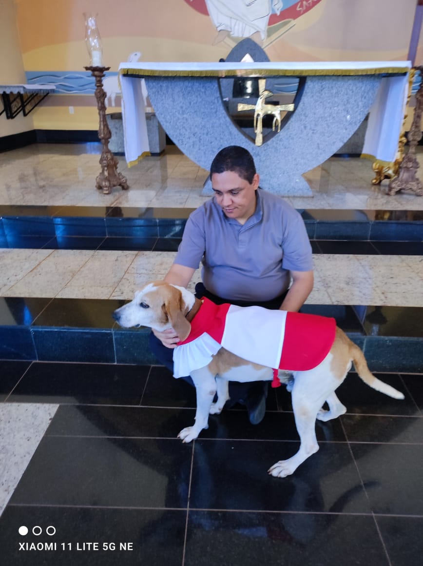Cão adotado por padre acompanha missas na Igreja Santa Ana e São Joaquim