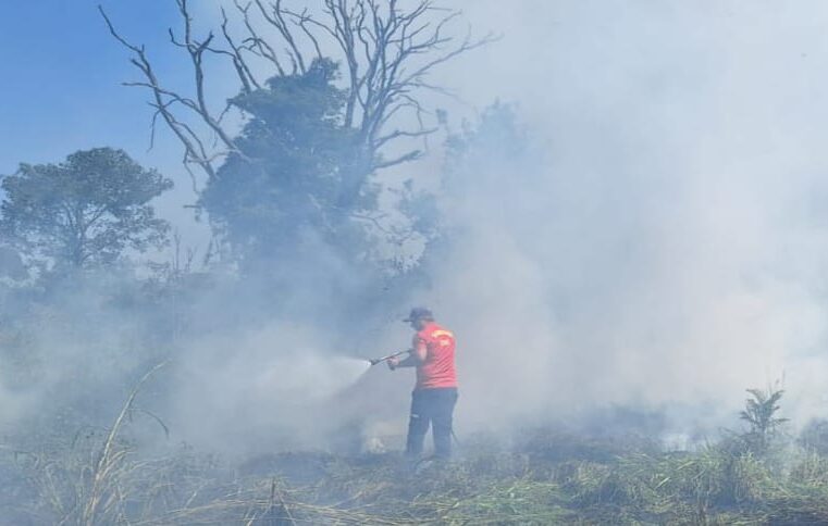 Incêndio em vegetação é combatido pela Defesa Civil e Corpo de Bombeiros