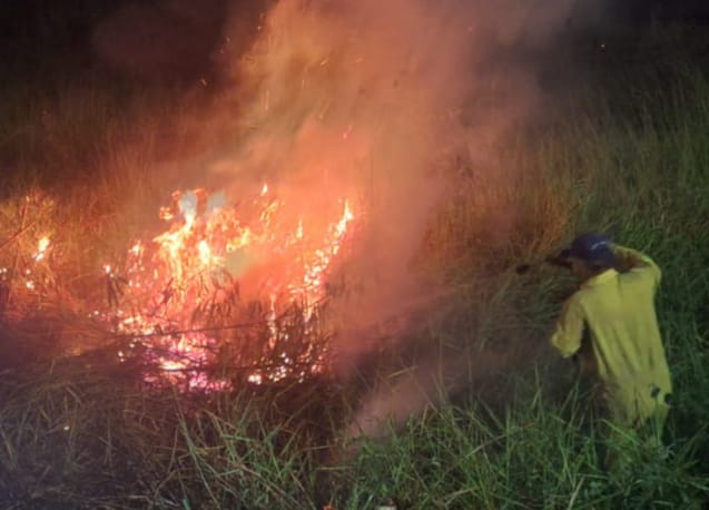 Incêndio é combatido em vegetação pela Defesa Civil