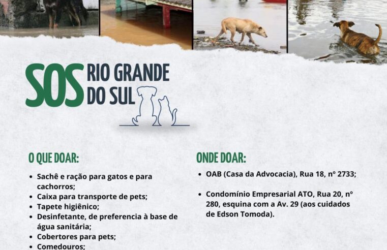 OAB Barretos arrecada doações também para pets afetados pela tragédia no Rio Grande do Sul