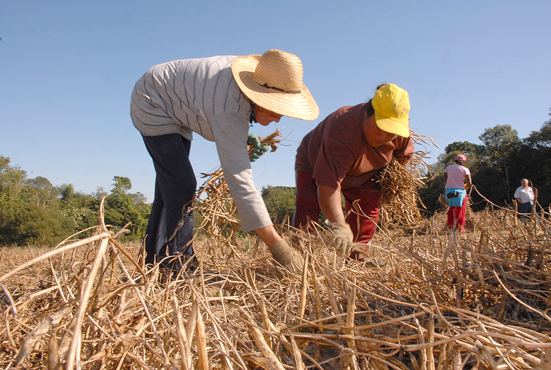 AGRISHOW 2024: Linha de crédito FEAP Mulher já está disponível para agricultoras de SP