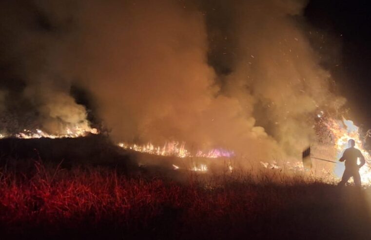 Bombeiros municipais controlam incêndio