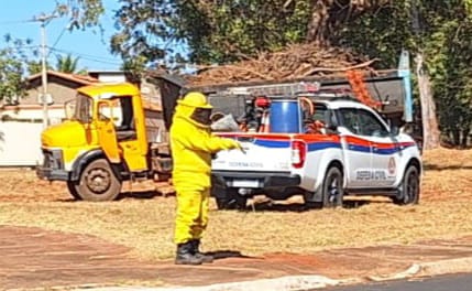 Bombeiros atendem ocorrência com abelhas em cabine de caminhão