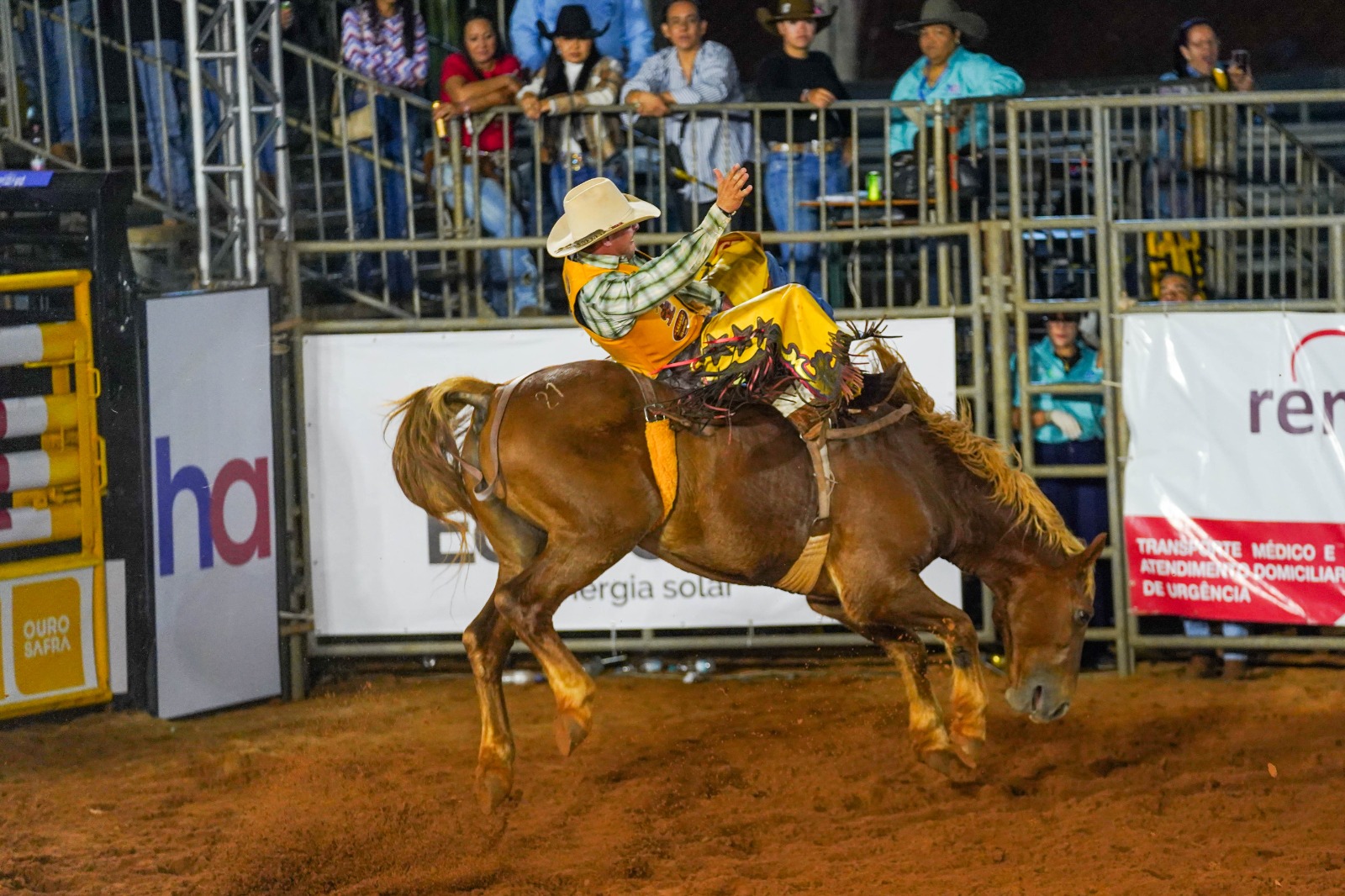 4º Rodeio Pela Vida termina hoje com os campeões de 2024 e shows