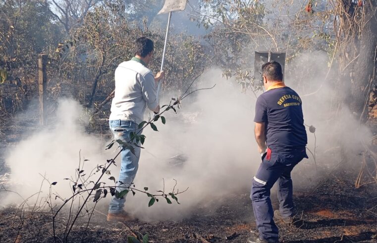 Incêndio atinge mata e enxames de abelhas de apicultor