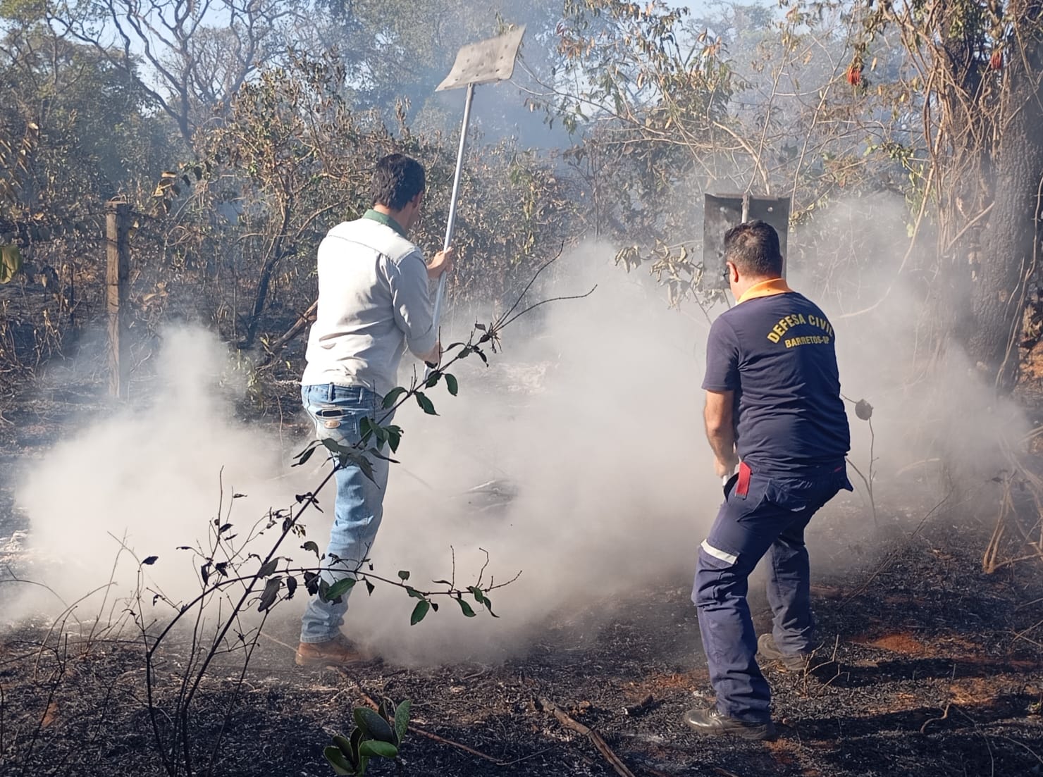 Incêndio atinge mata e enxames de abelhas de apicultor