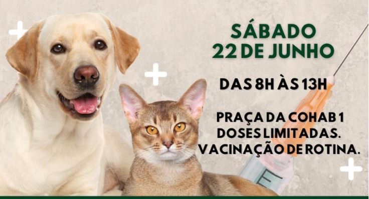 Prefeitura de Colina realiza Vacinação Antirrábica em cães e gatos na Praça da Cohab 1