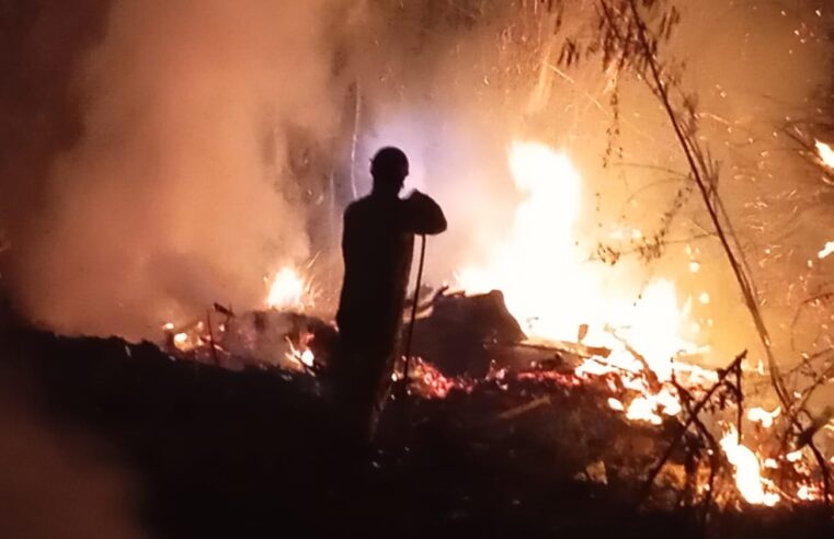 Incêndio em mata é combatido no Parque Eneas Carneiro