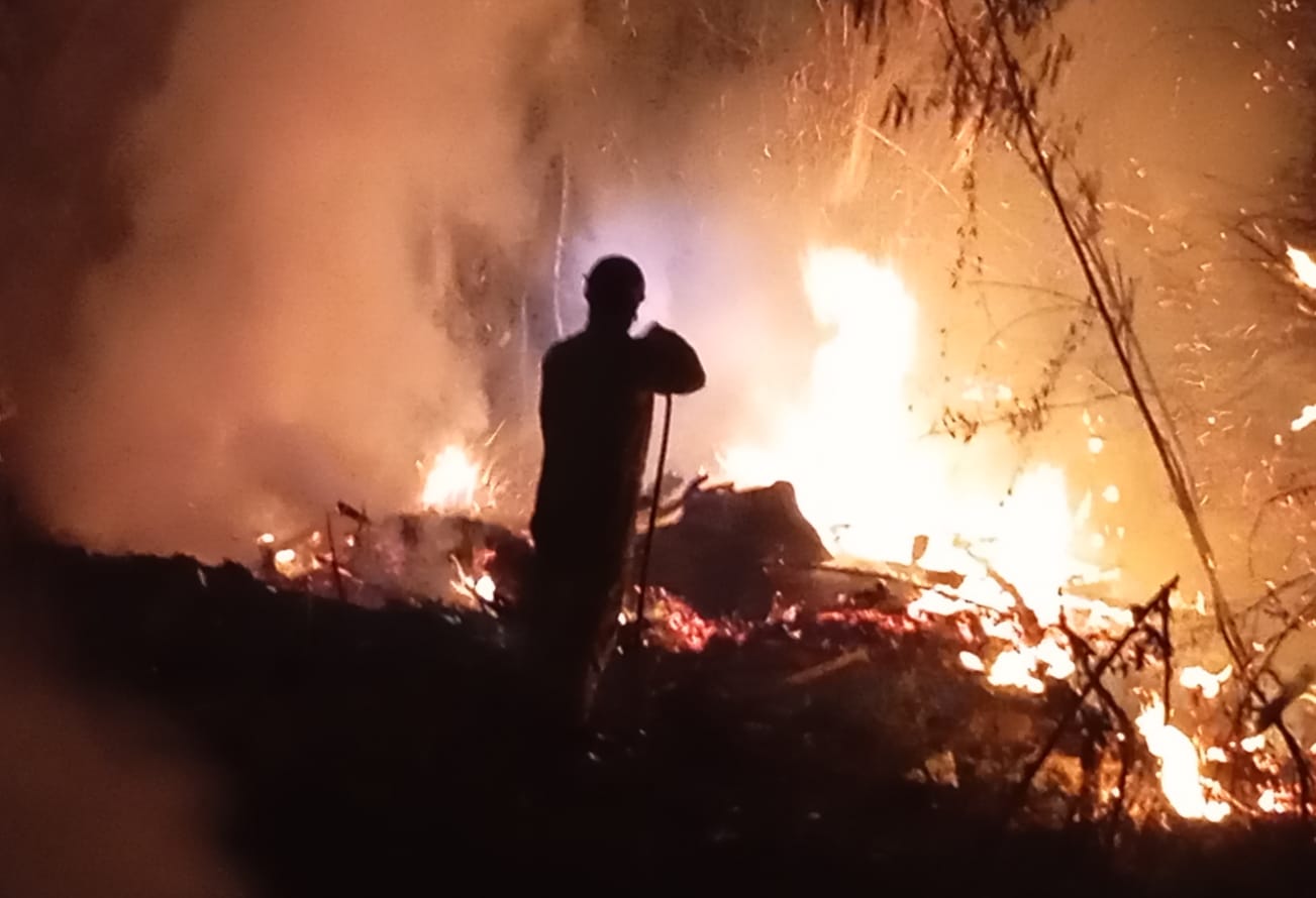 Incêndio em mata é combatido no Parque Eneas Carneiro