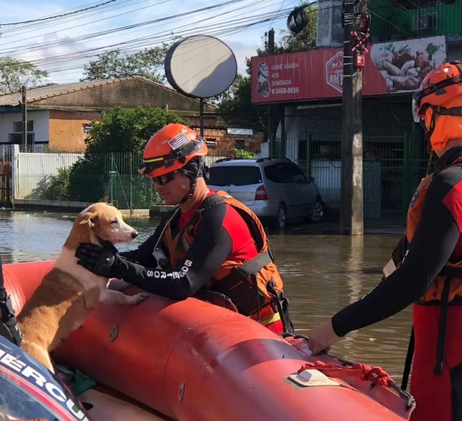 Corpo de Bombeiros de SP encerra missão no RS com mais de 1,3 mil resgates