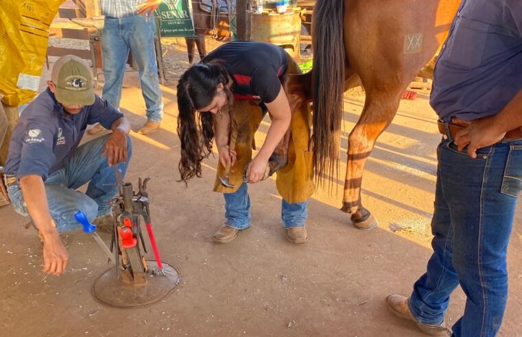 Curso do SENAR ensina técnicas de equideocultura