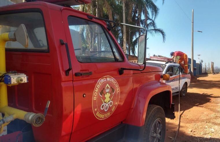 Incêndio em vegetação atinge área próxima a estrada Velha de Guaíra