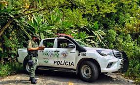 Operação “Guardião das Florestas”: Polícia Militar Ambiental intensifica a proteção das florestas paulistas