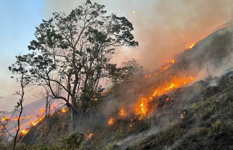 Incêndios: sobe para 10 o número de detidos pela Polícia de SP