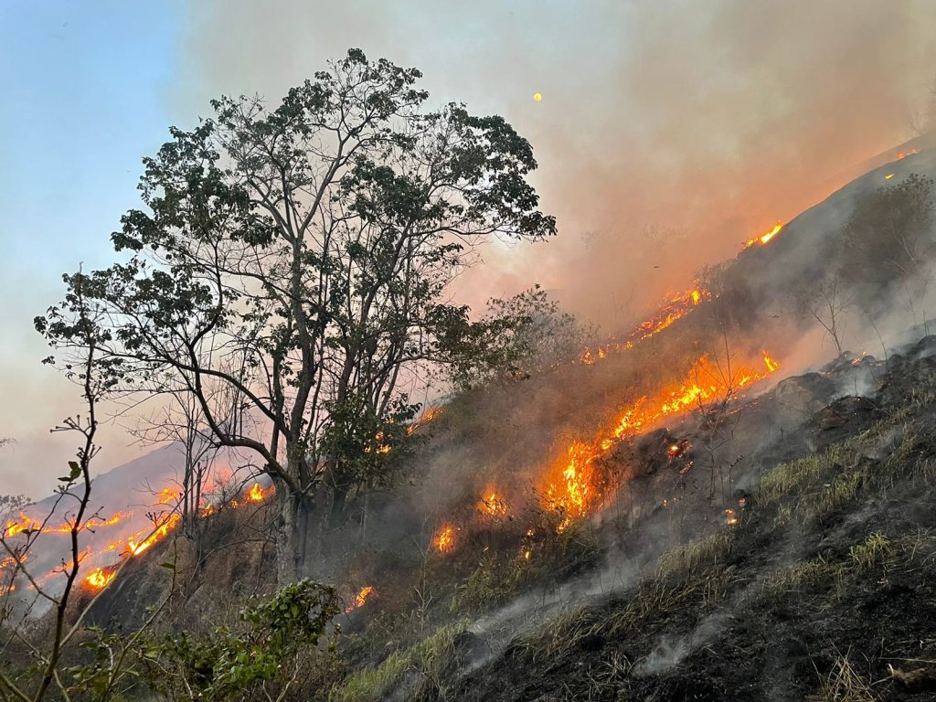 Incêndios: sobe para 10 o número de detidos pela Polícia de SP