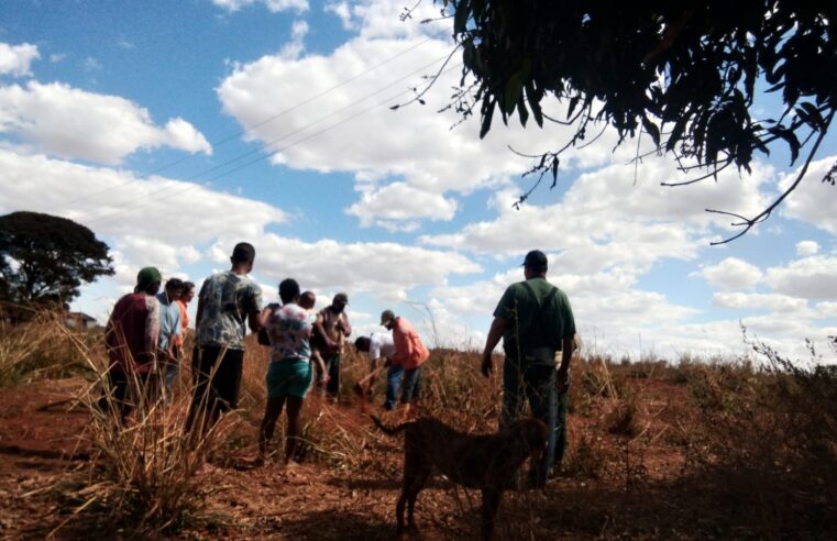 Curso de bovinocultura de leite é ministrado em Colômbia