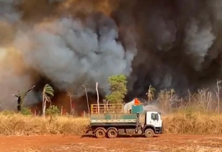 Bióloga defende união para combater incêndios na zona rural