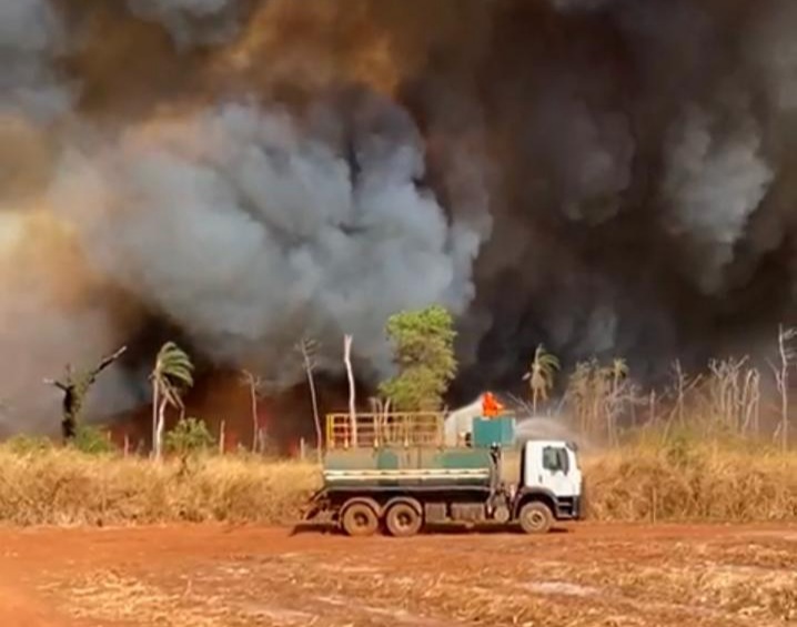 Bióloga defende união para combater incêndios na zona rural