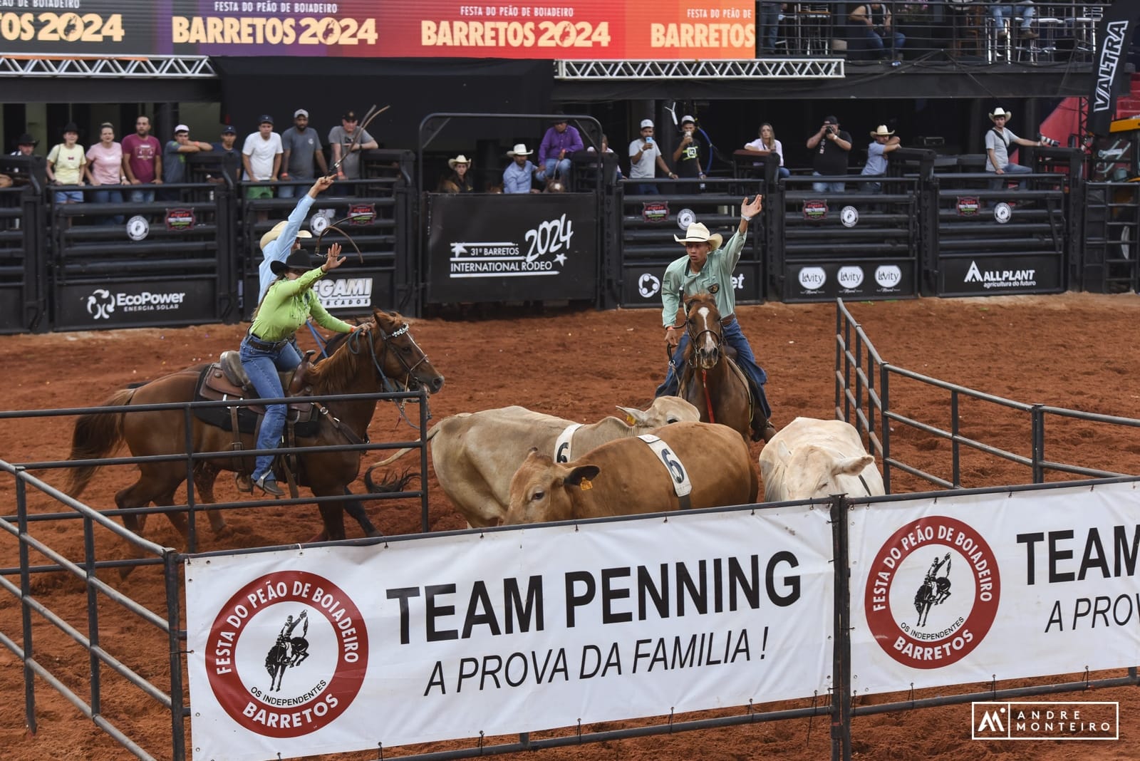 Team Penning define últimos finalistas da Festa de Barretos