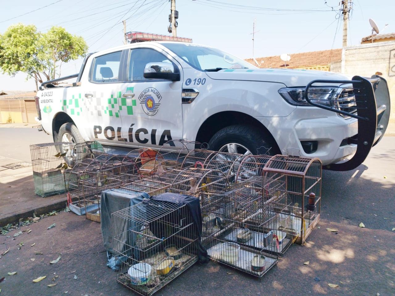 Polícia Ambiental faz apreensão de 31 aves após denúncia