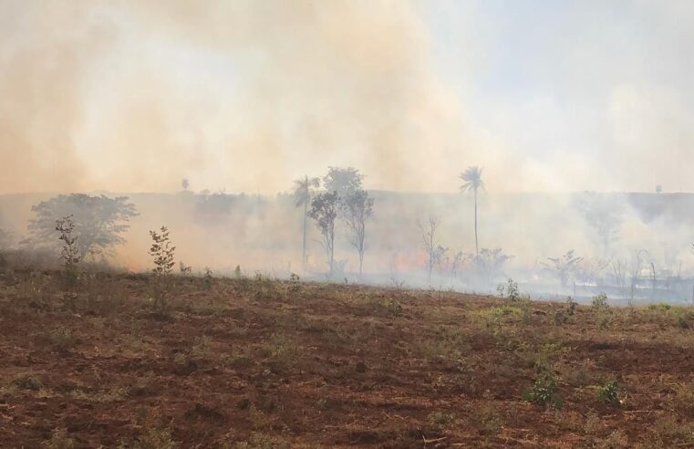 CGE da Defesa Civil de SP emite alerta sobre incêndios na área rural