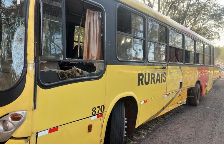 Colisão sem vítima envolve ônibus e caminhão na Assis