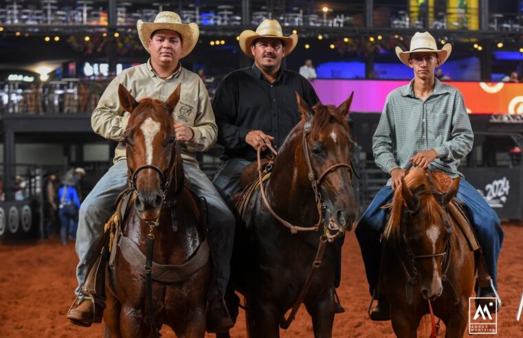 Mineiros de Betim e Patrocínio vencem noite do Team Penning