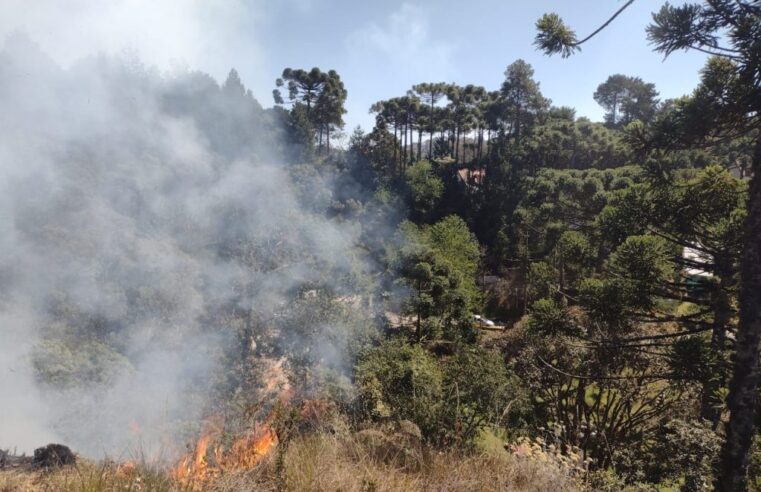 Governo de SP reforça operação de combate ao fogo no interior e monta posto avançado em Ribeirão Preto