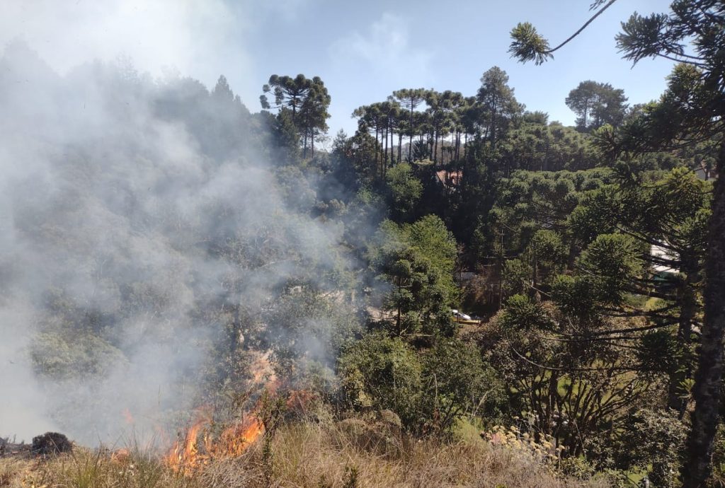 Governo de SP reforça operação de combate ao fogo no interior e monta posto avançado em Ribeirão Preto