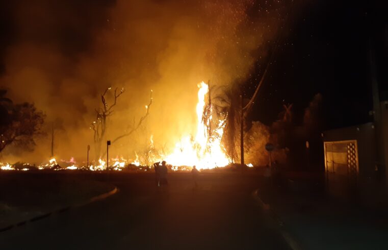 Incêndio de grandes proporções atinge mata no Mais Parque