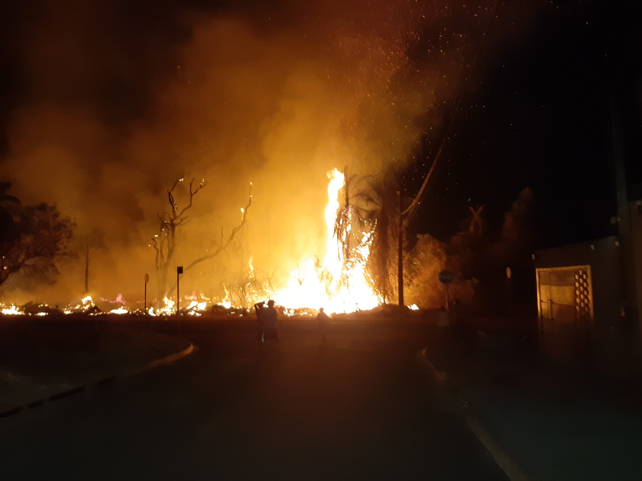 Incêndio de grandes proporções atinge mata no Mais Parque