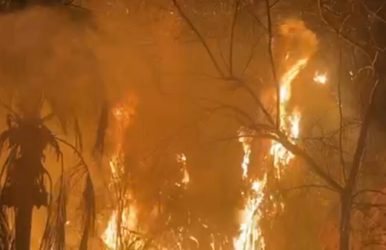 Incêndio atinge área de vegetação na região da Cachoeirinha e Três Barras