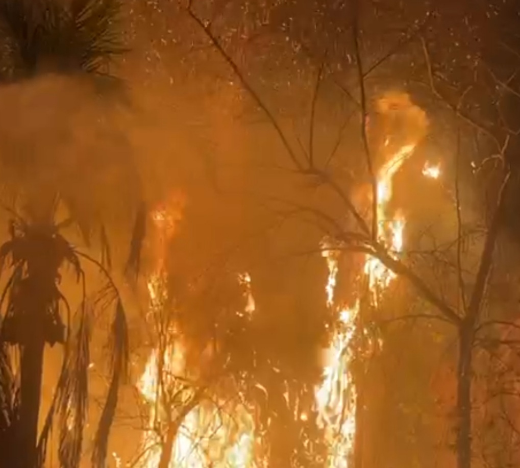 Incêndio atinge área de vegetação na região da Cachoeirinha e Três Barras