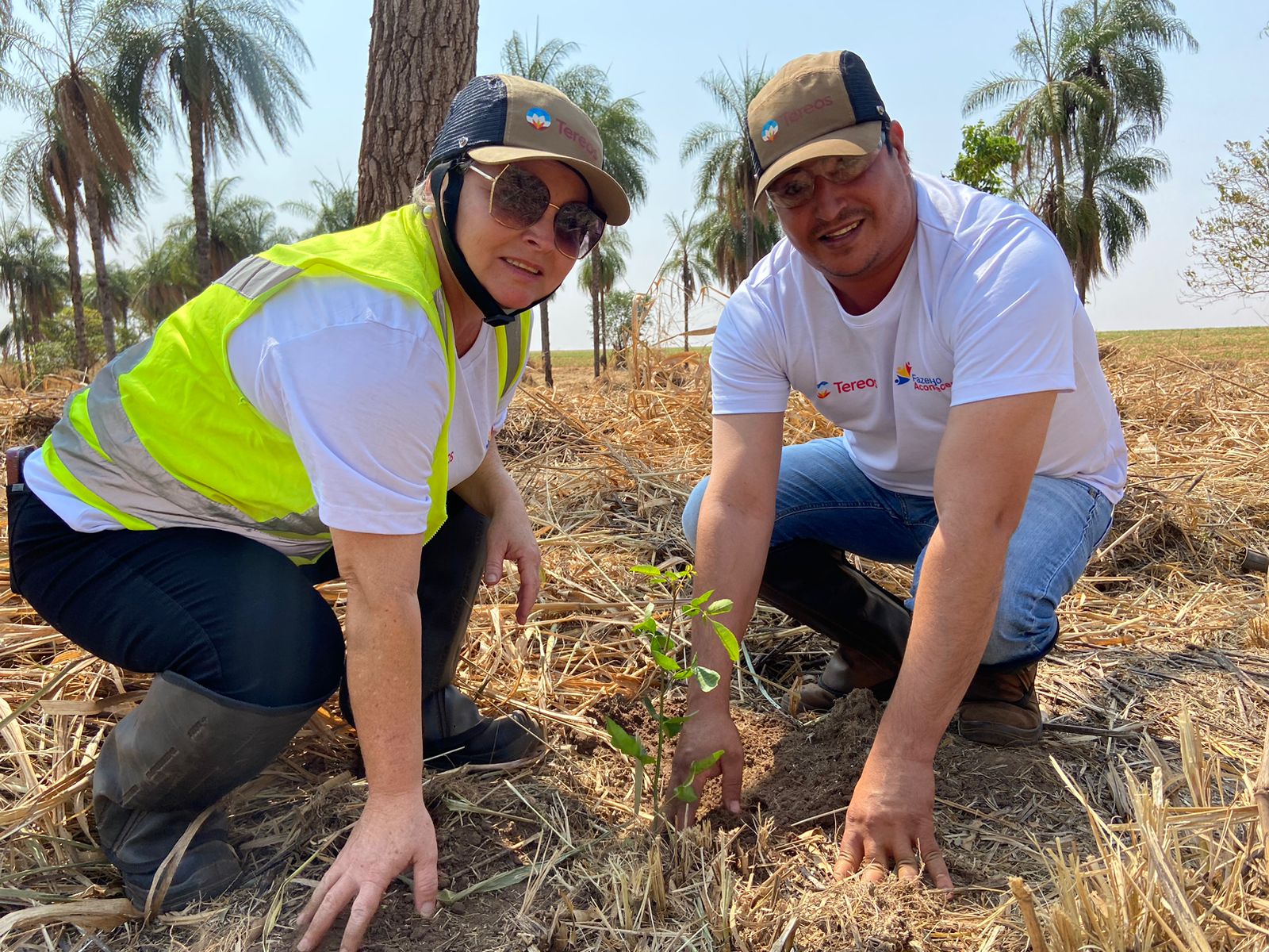 Colaboradores da Tereos plantam mil mudas em fazenda em Barretos