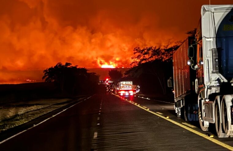 Incêndio mobiliza bombeiros em área de vegetação na Assis Chateaubriand