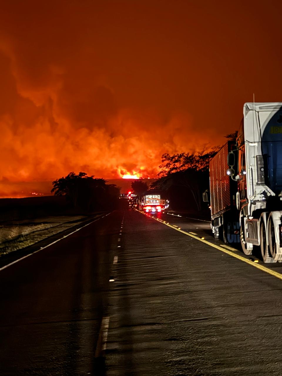 Incêndio mobiliza bombeiros em área de vegetação na Assis Chateaubriand