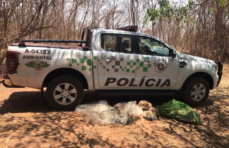 Polícia Ambiental faz duas apreensões de pesca irregular em Terra Roxa