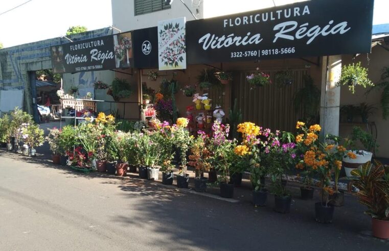 Floricultura Vitória Régia tem flores para o Dia de Finados