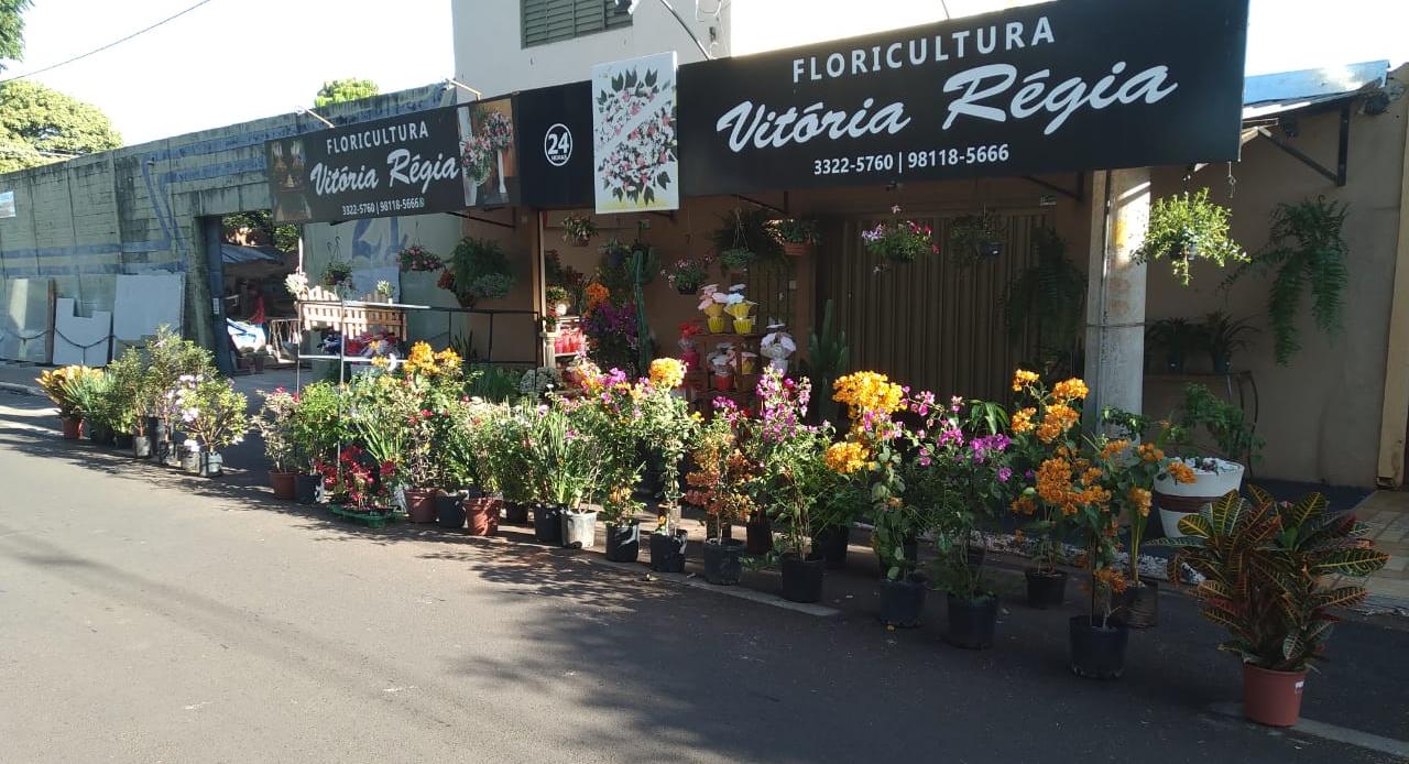 Floricultura Vitória Régia tem flores para o Dia de Finados