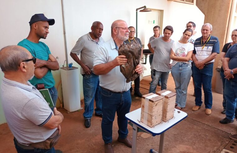 Barretos sedia curso de criação de abelhas e atrai interessados da região