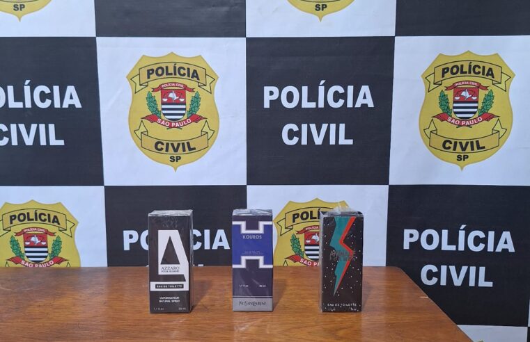  Polícia Civil esclarece furto em condomínio