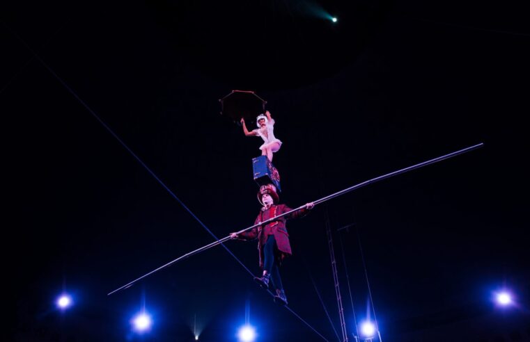 Fim de semana tem Bienal do Samba e Festival de Circo em SP