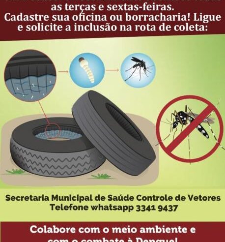 Dengue: Administração de Colina destaca importância do descarte correto de pneus