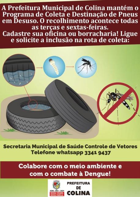 Dengue: Administração de Colina destaca importância do descarte correto de pneus