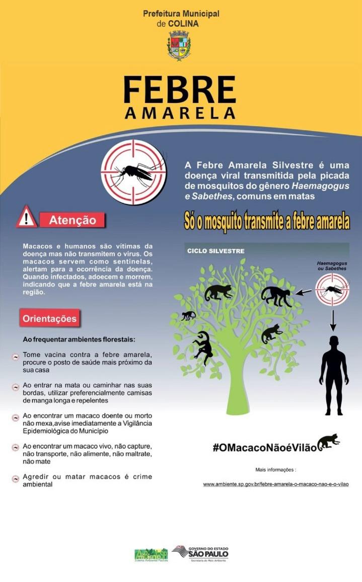 Prefeitura de Colina emite alerta após confirmação de febre amarela em macaco encontrado na zona rural